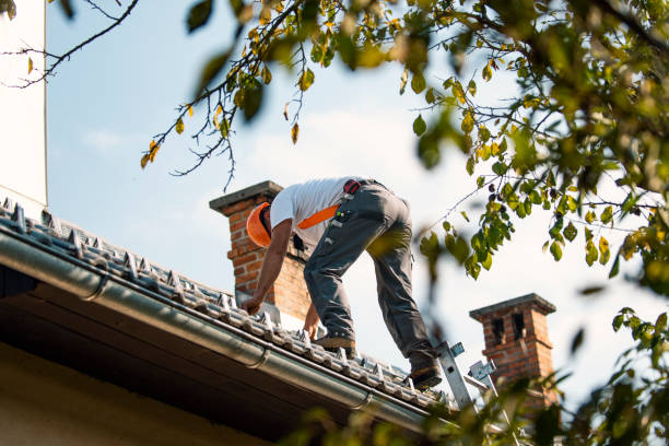 Best Commercial Roofing Services  in Sebewaing, MI