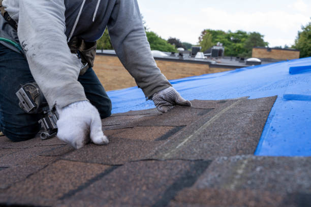 Best Emergency Roof Repair  in Sebewaing, MI
