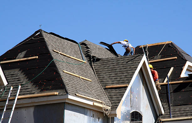 Best Residential Roof Replacement  in Sebewaing, MI