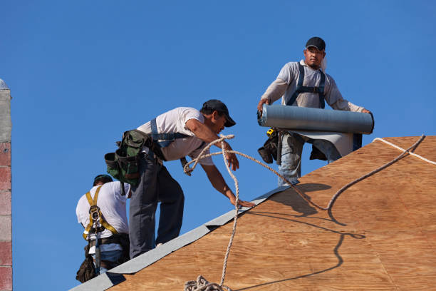 Best Residential Roofing Contractor  in Sebewaing, MI