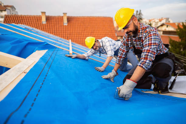 Best Best Roofing Contractors  in Sebewaing, MI