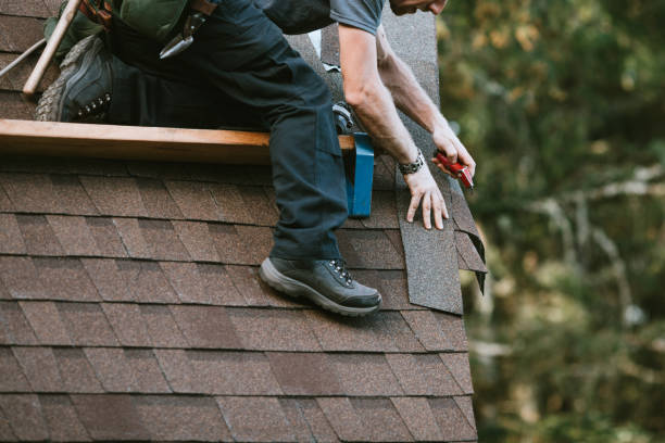 Best Roof Restoration Services  in Sebewaing, MI